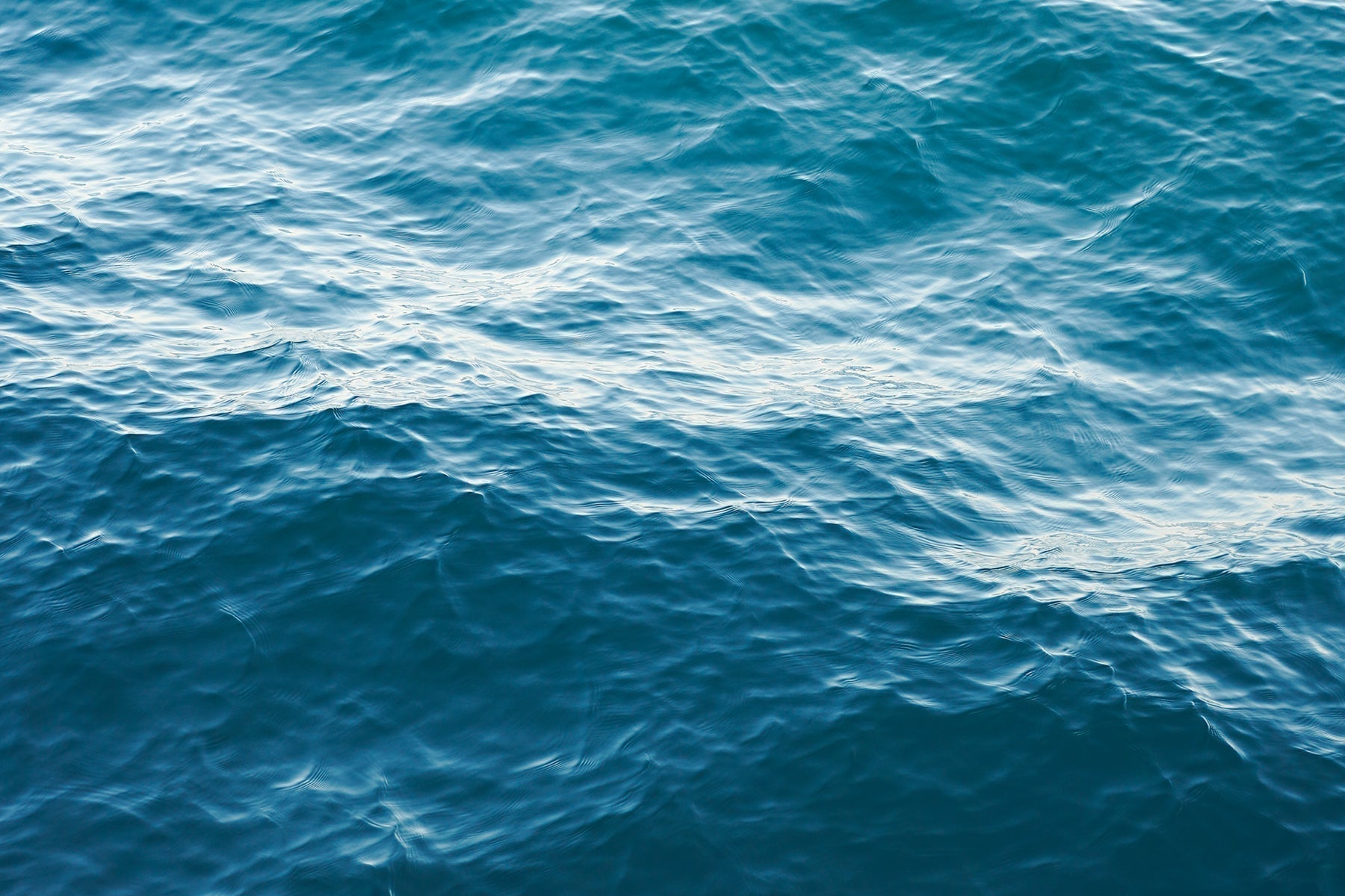 オンラインショップのリニューアルをしました