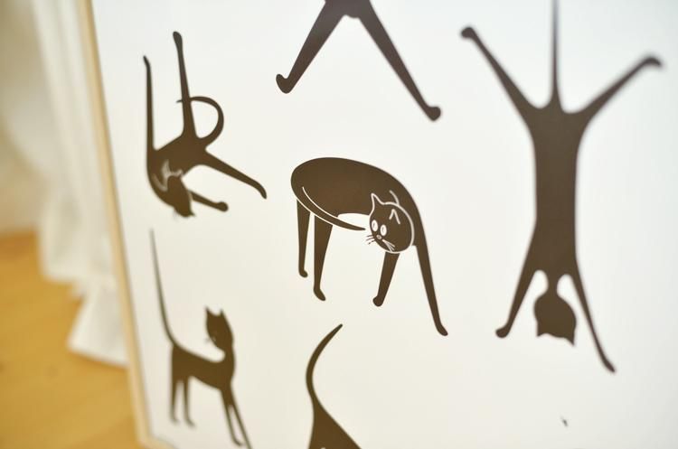 Gatto . Bruno Munari