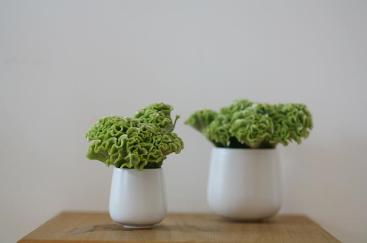 Ovale . Ronan & Erwan Bouroullec
