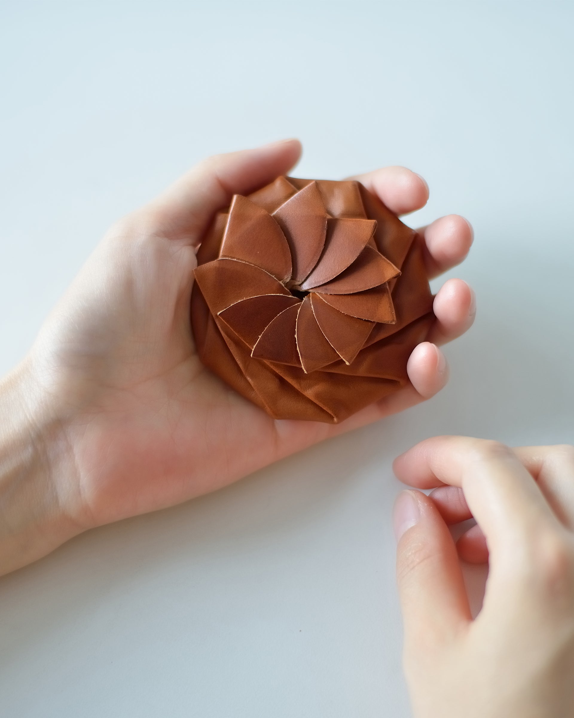 Coin Case . ブラウン