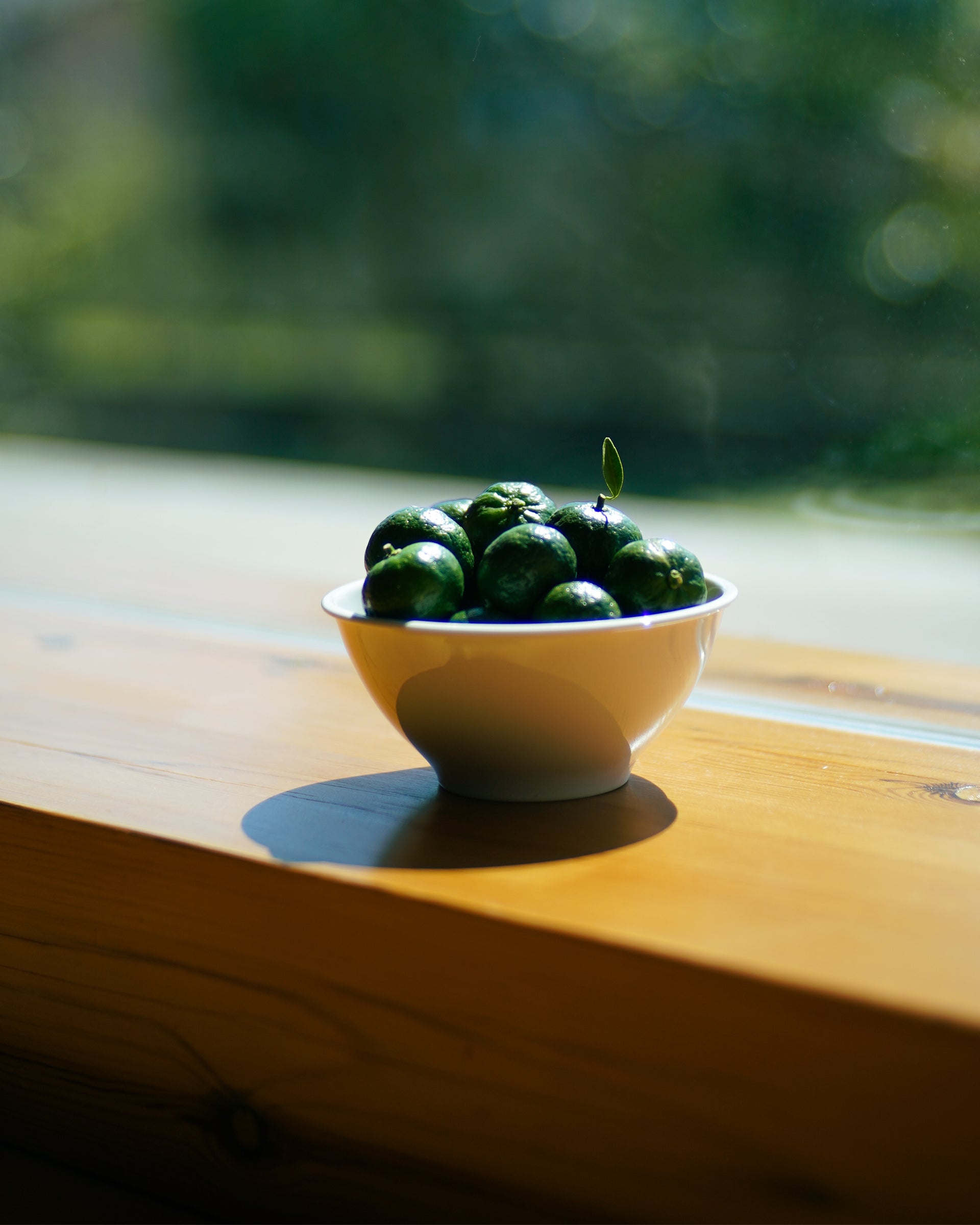 Plate Bowl Cup . デザートボウル . Jasper Morrison